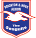 Brighton & Hove Albion